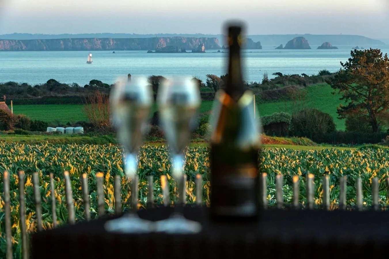 Sea View Holiday Villa With Private Spa Brittany Plougonvelin